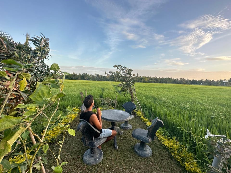 Natural landscape, Garden