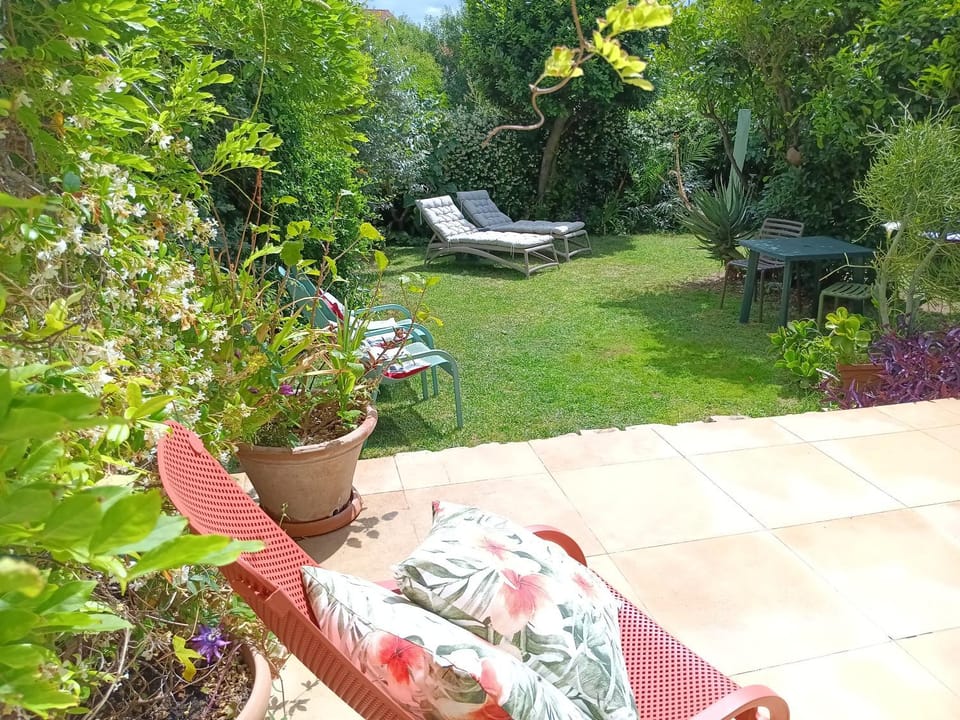 Patio, Spring, Garden, Seating area, Garden view, sunbed