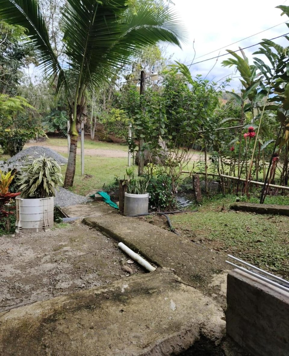 Apto 5 Apartment in Cartago Province, Costa Rica