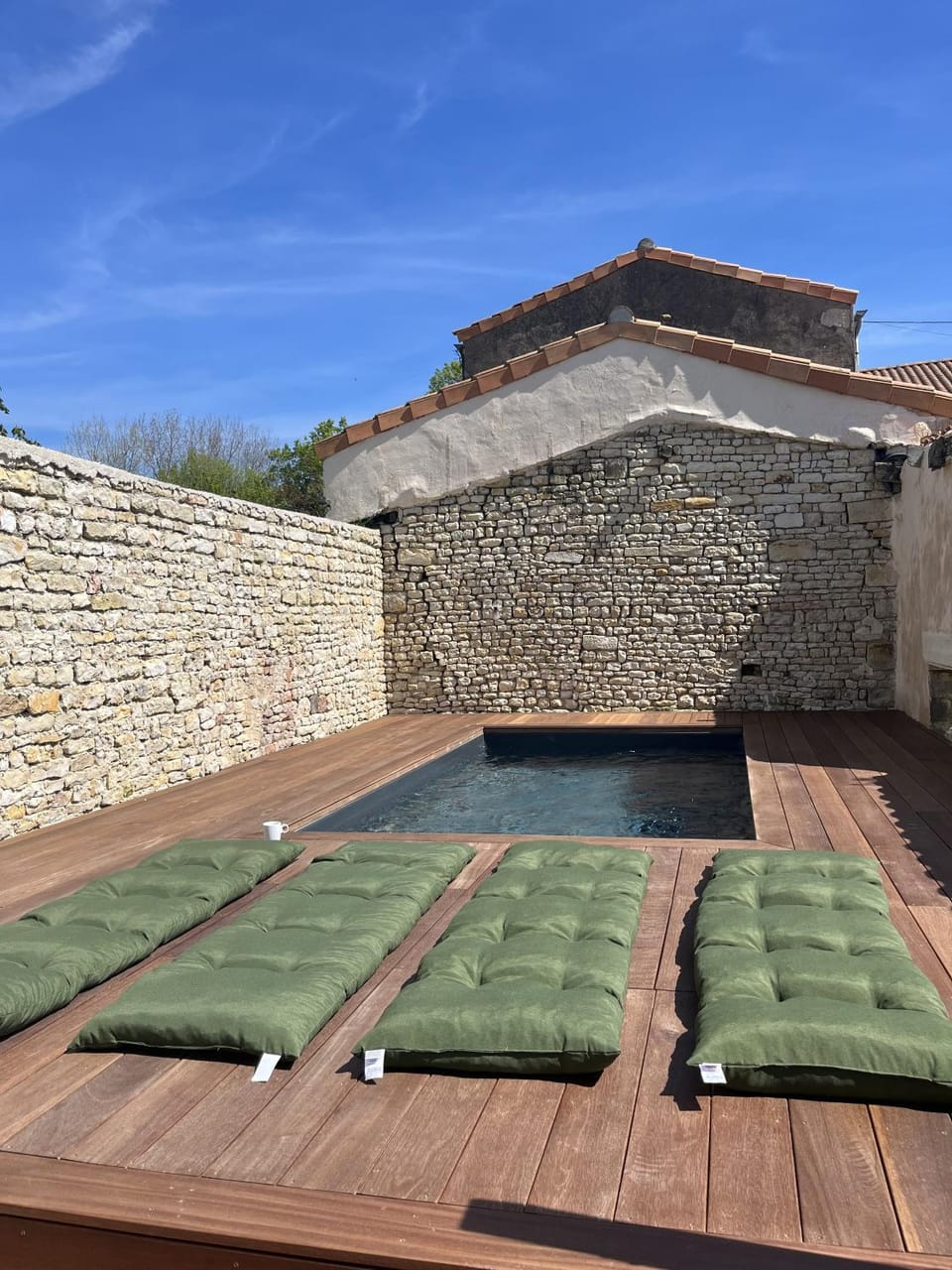Day, Natural landscape, Garden, Pool view, Swimming pool, Swimming pool, sunbed