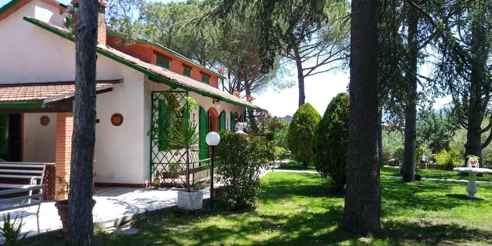 Patio, Day, Garden