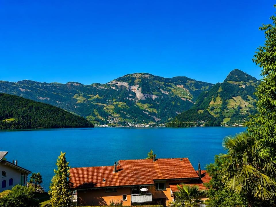 Lake view