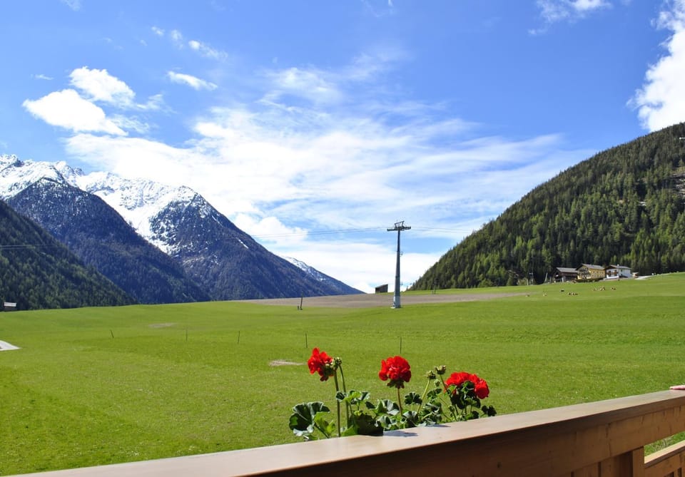 Mountain view