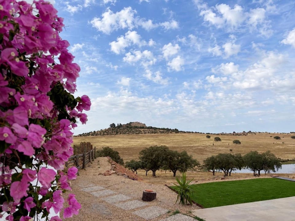 Sabor a Paz - Piscina Panorâmica & Natureza Apartment in Portugal