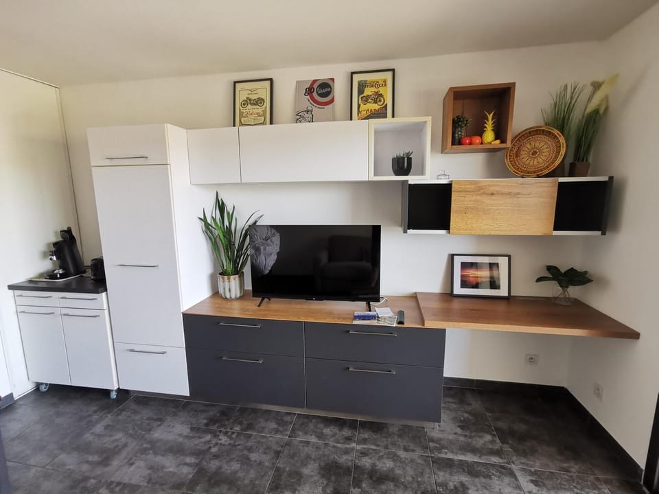 TV and multimedia