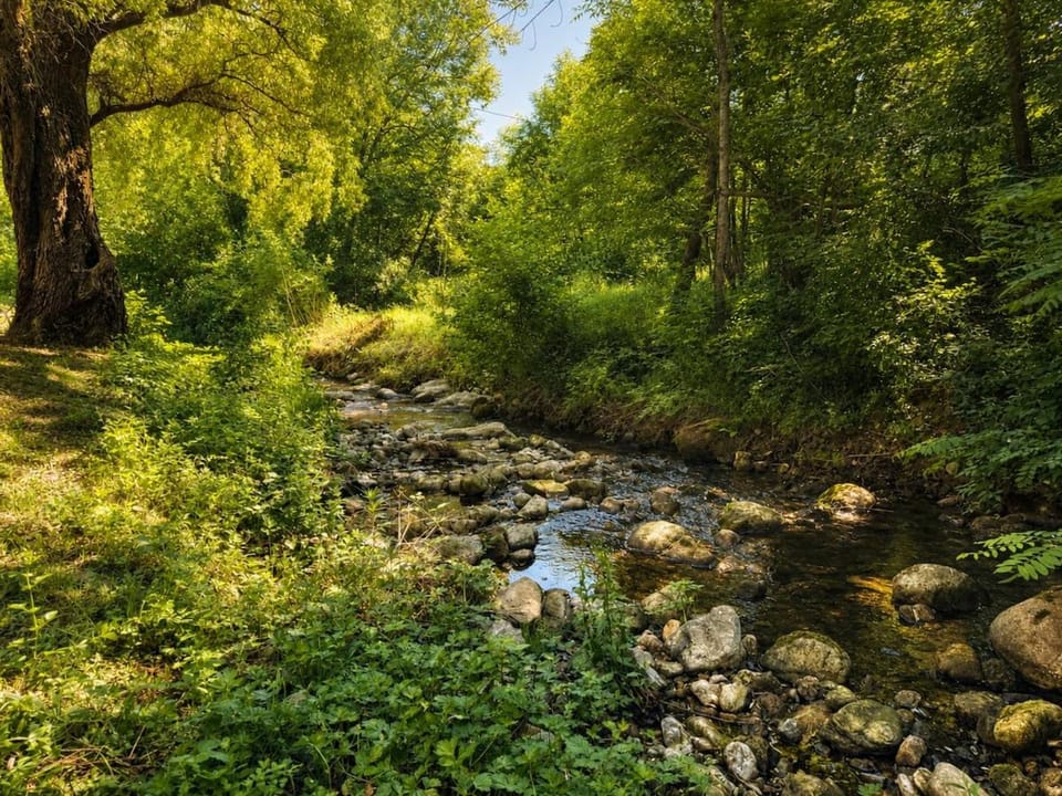River view