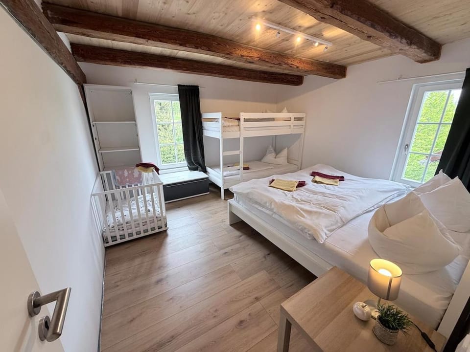Wunderschöne ausgebaute Scheune 15 Betten - FeWo 4 Apartment in Thuringia, Germany
