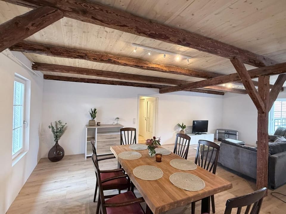 Wunderschöne ausgebaute Scheune 15 Betten - FeWo 4 Apartment in Thuringia, Germany