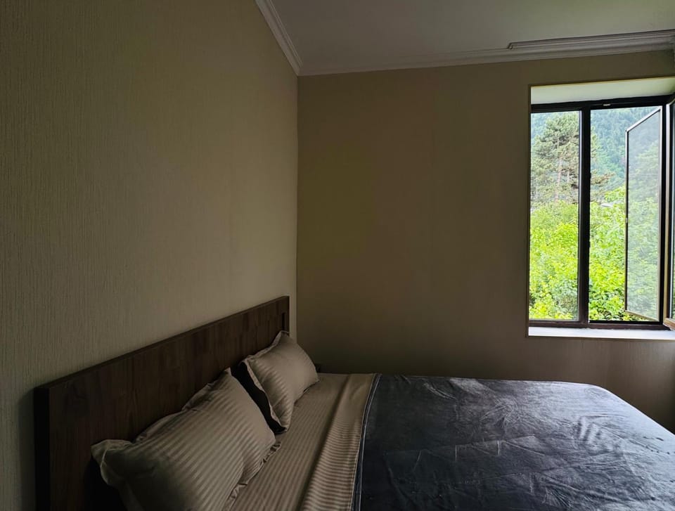 Due apartments Apartment in Georgia