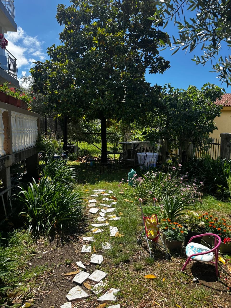 Garden view