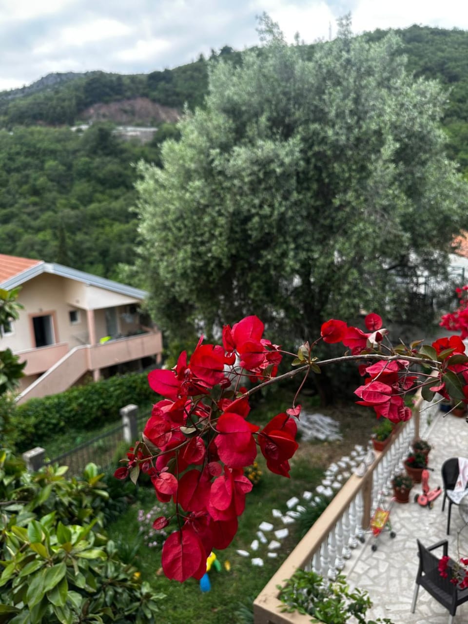 Garden view