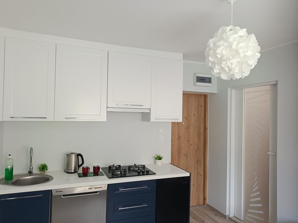 Kitchen or kitchenette, minibar, stove