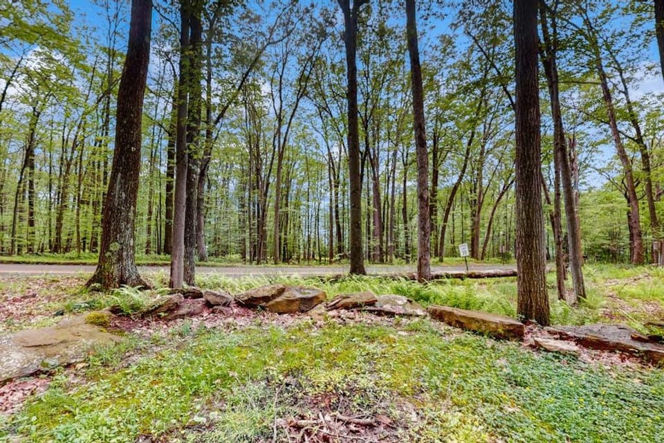 Hundred Acre Wood House in Deep Creek Lake