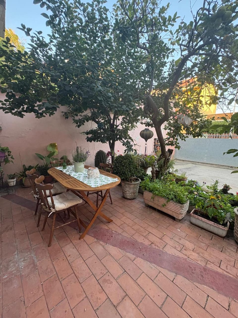 Day, Garden view