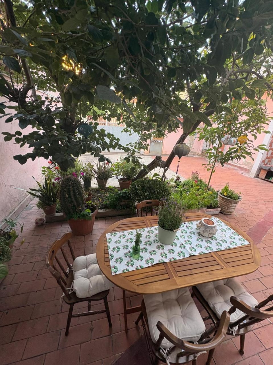 Patio, Spring, View (from property/room)
