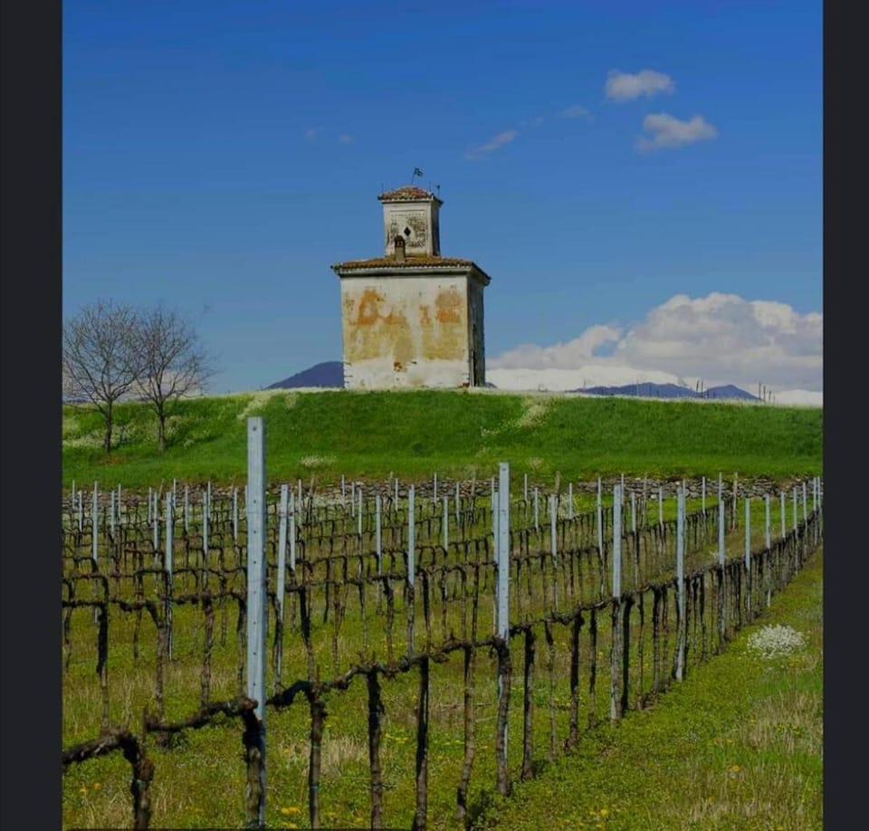 Giovi 1 - New apartment in Franciacorta Apartment in Province of Brescia
