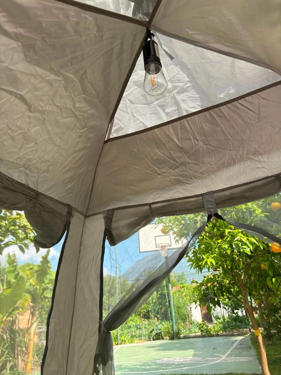 Green Oasis Retreat Luxury tent in Montenegro
