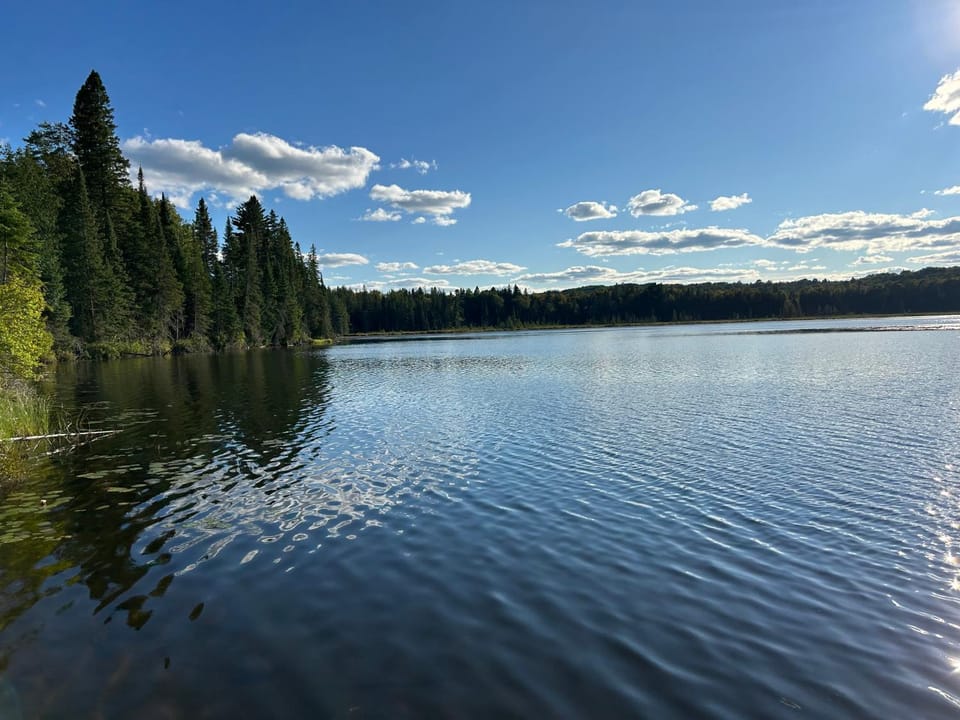 Lake view