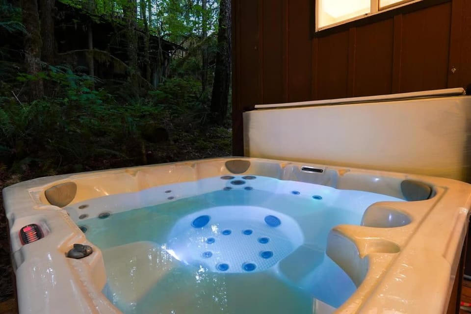 Hemlock Chalet House in Glacier