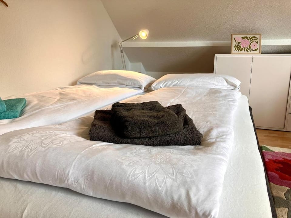 Gemütliche Dachgeschosswohnung mit Balkon Apartment in Göttingen