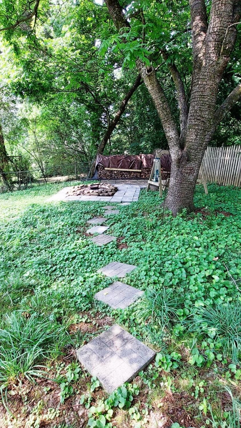 Cozy Secret City Home near Smoky Mtns,Windrock,Y12 House in Oak Ridge