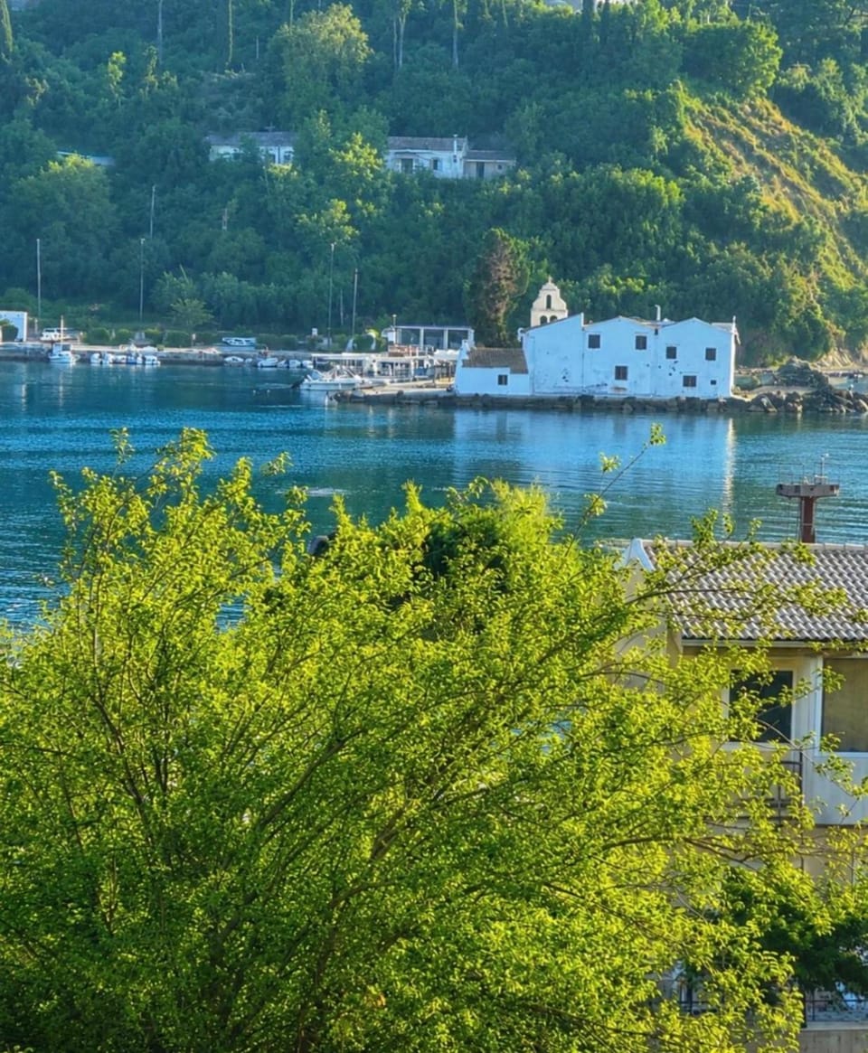 Villa Armando Corfu Jacuzzi Villa in Peloponnese, Western Greece and the Ionian