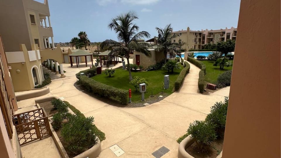 Garden view