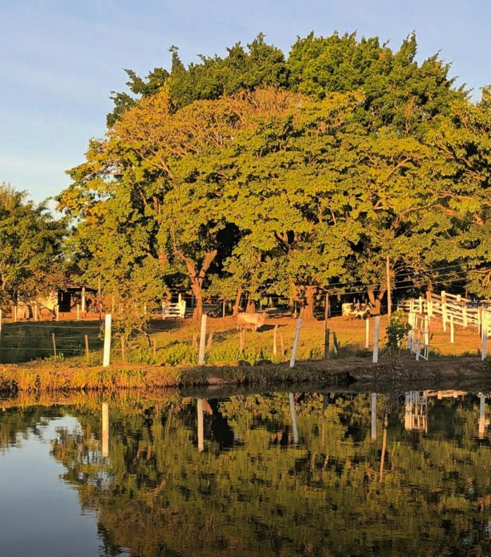 Chácara dos Sonhos House in State of Goiás