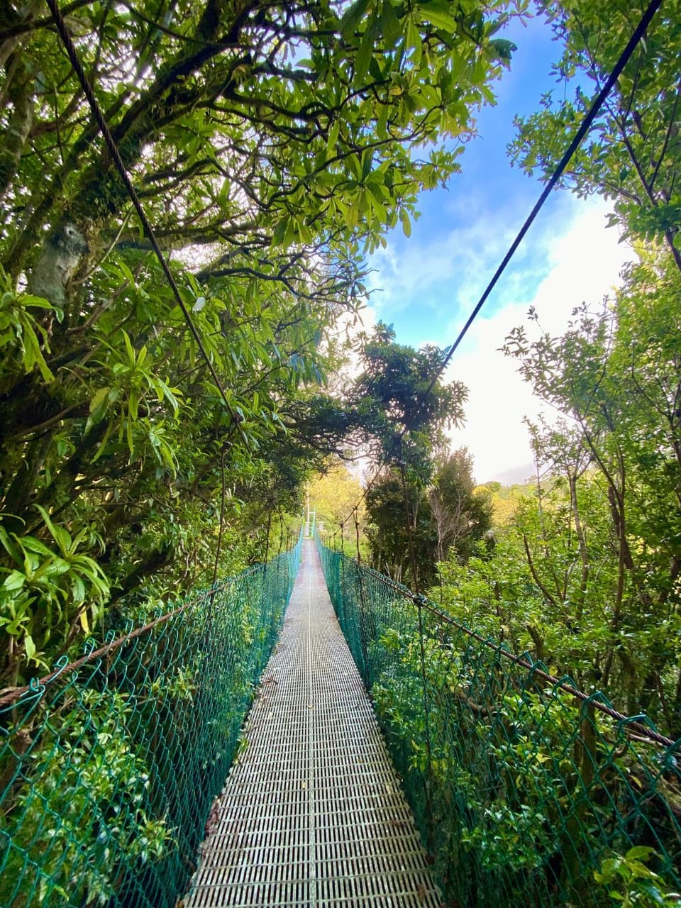 Rincón Uruguayo Chalet in Monteverde