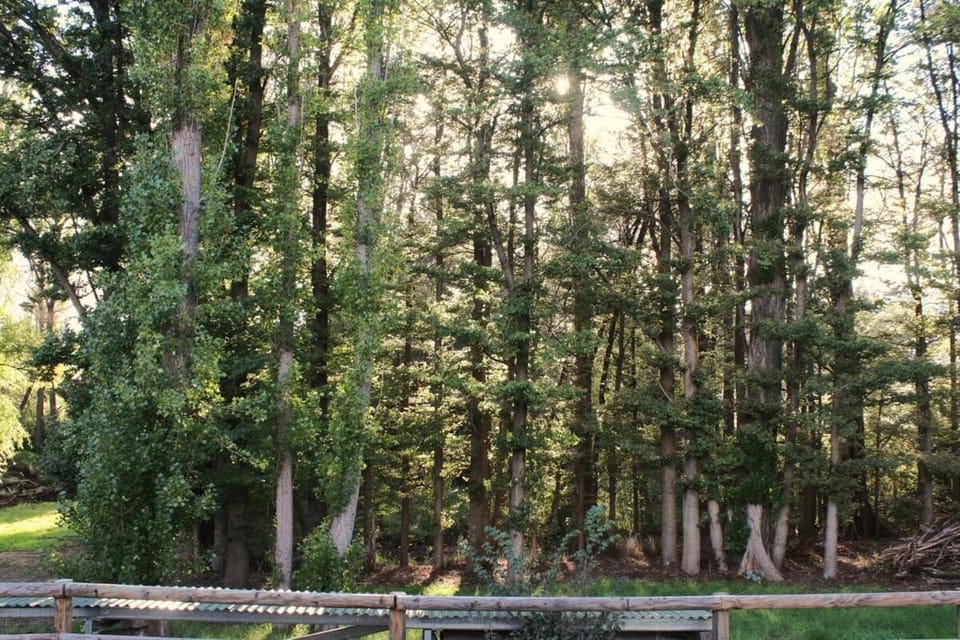 Elm's Deep Guest House House in Berridale