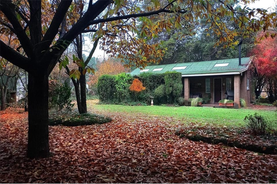 Property building, Garden view