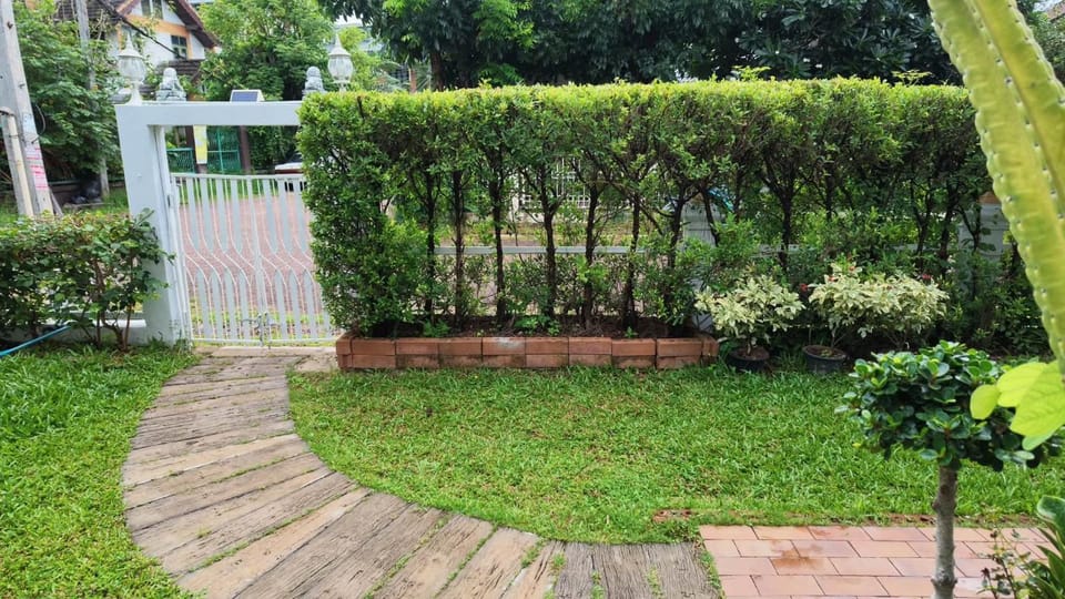 Garden view