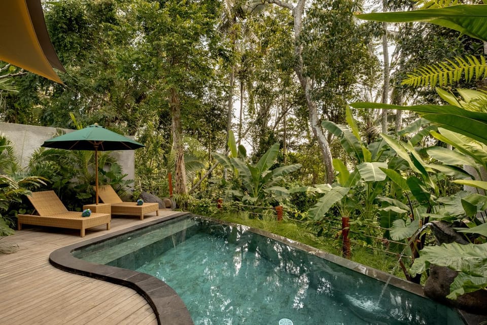 Day, Natural landscape, Swimming pool, sunbed