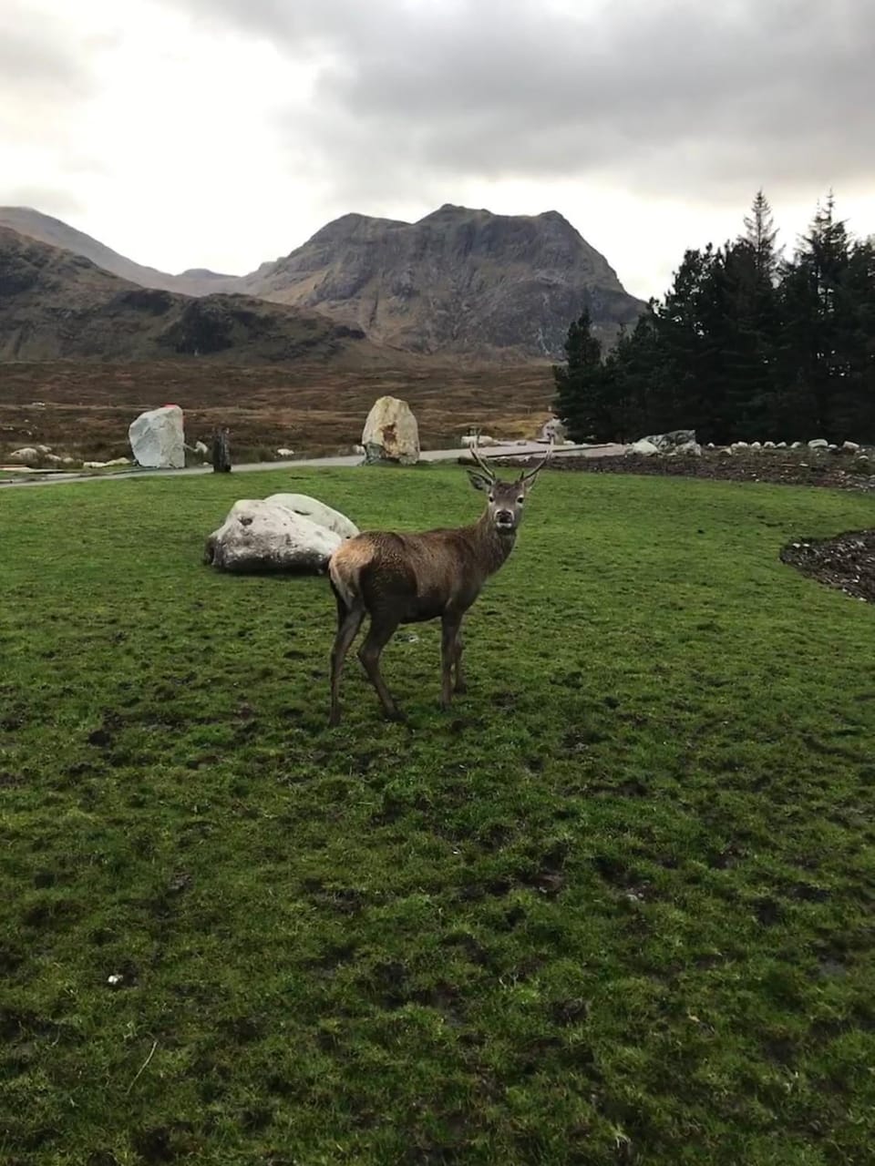 Kinloch Cottage House in Kinlochleven