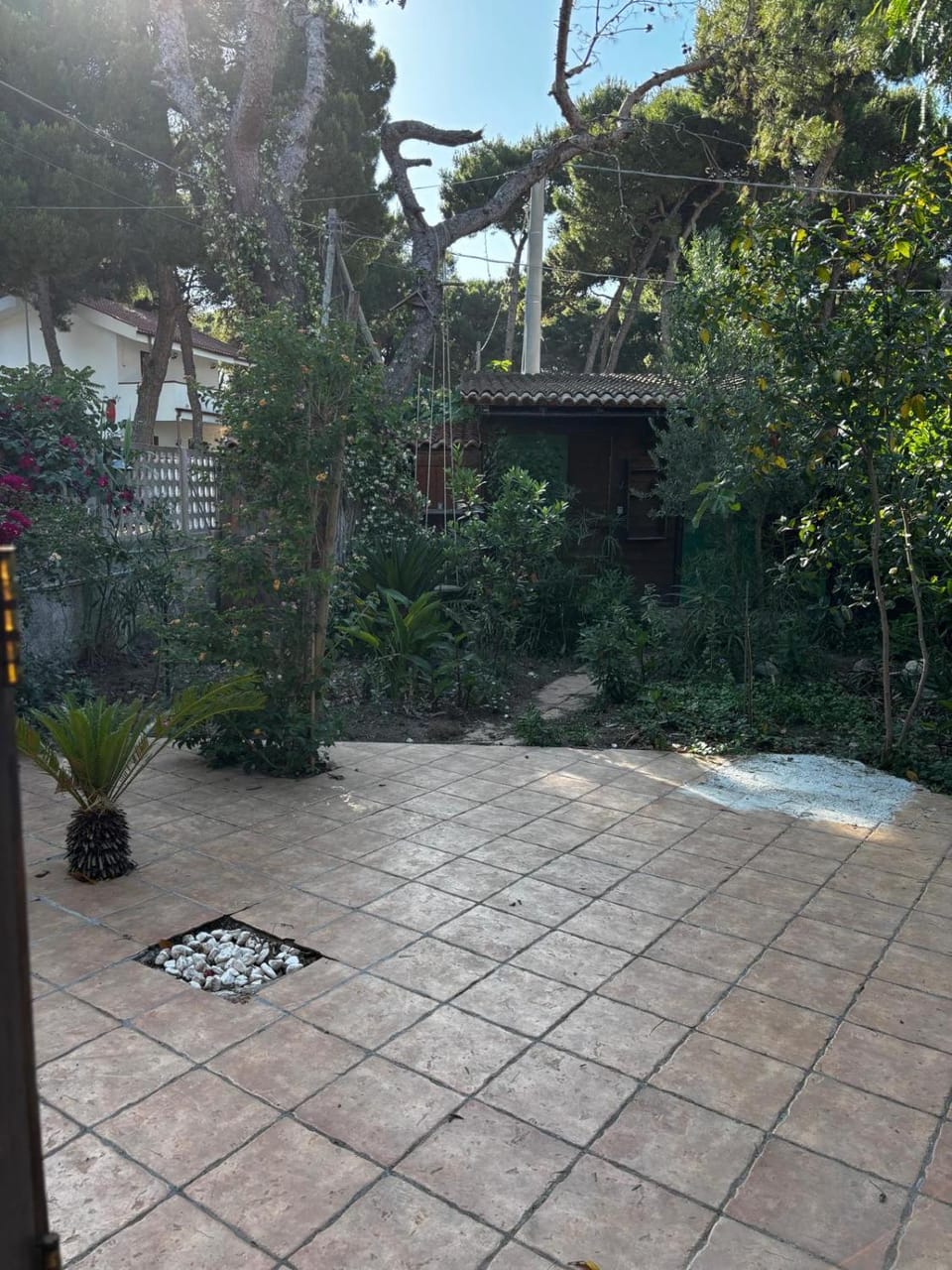 Patio