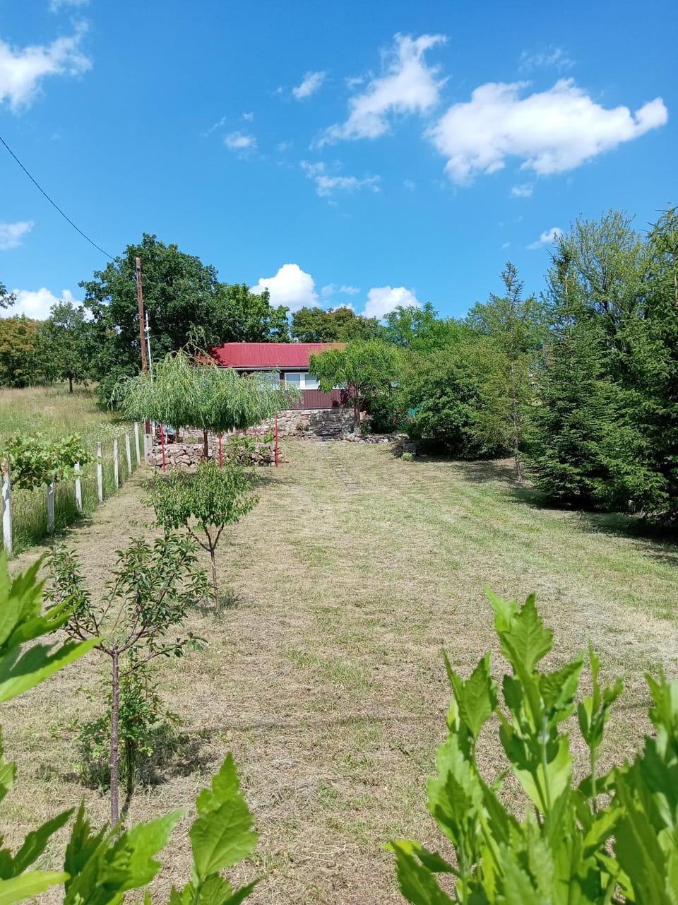 Garden, Garden