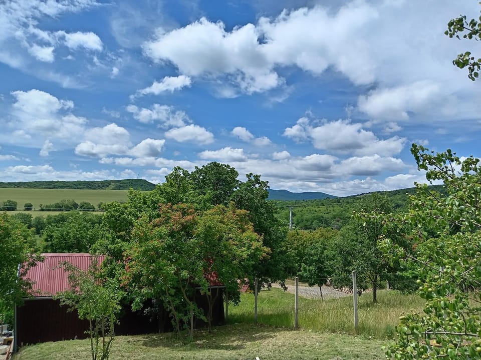 Garden, View (from property/room)