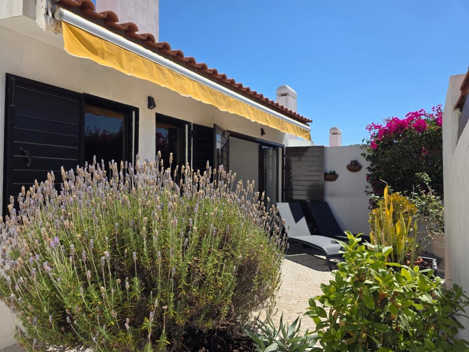 Patio, sunbed