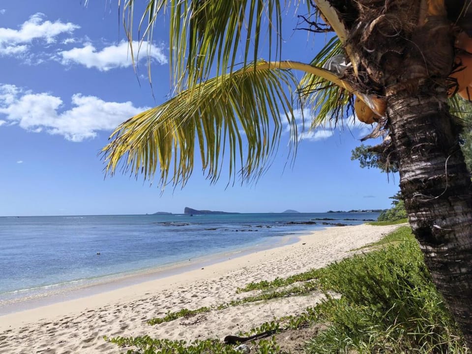 Lakaz Badamier - Villa pieds dans l'eau avec piscine Villa in Grand Baie