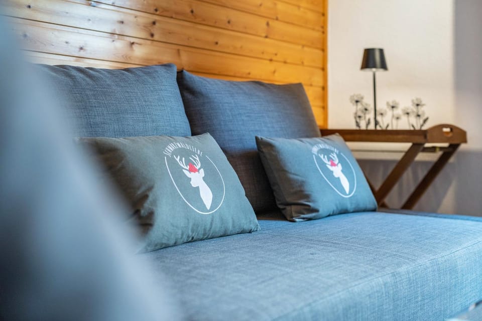 Alte Schmiede Apartment in Forbach