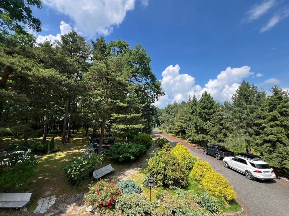 Spring, Day, Natural landscape, Garden, Garden view, Parking