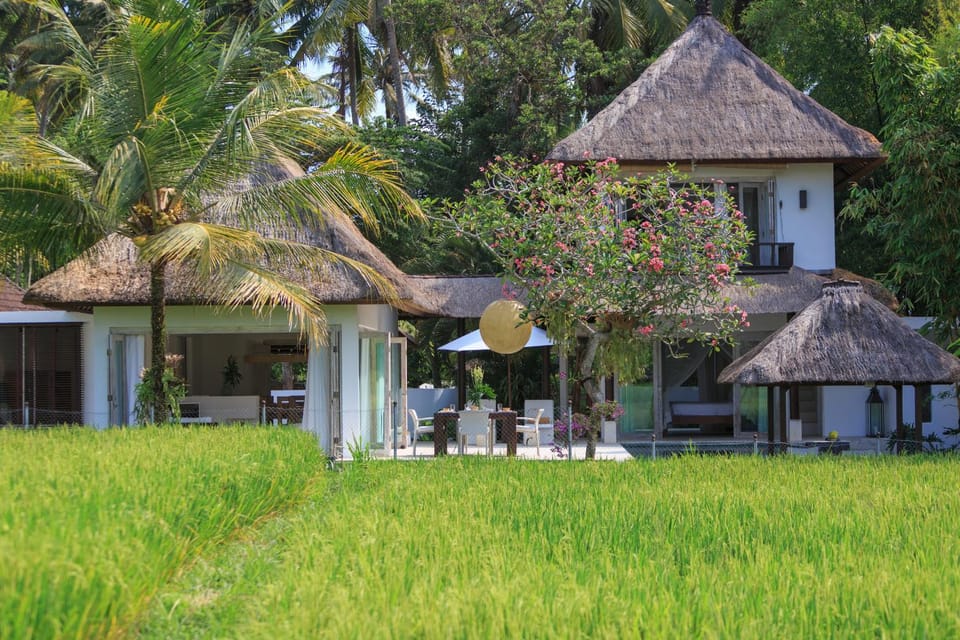 Property building, Natural landscape, View (from property/room)