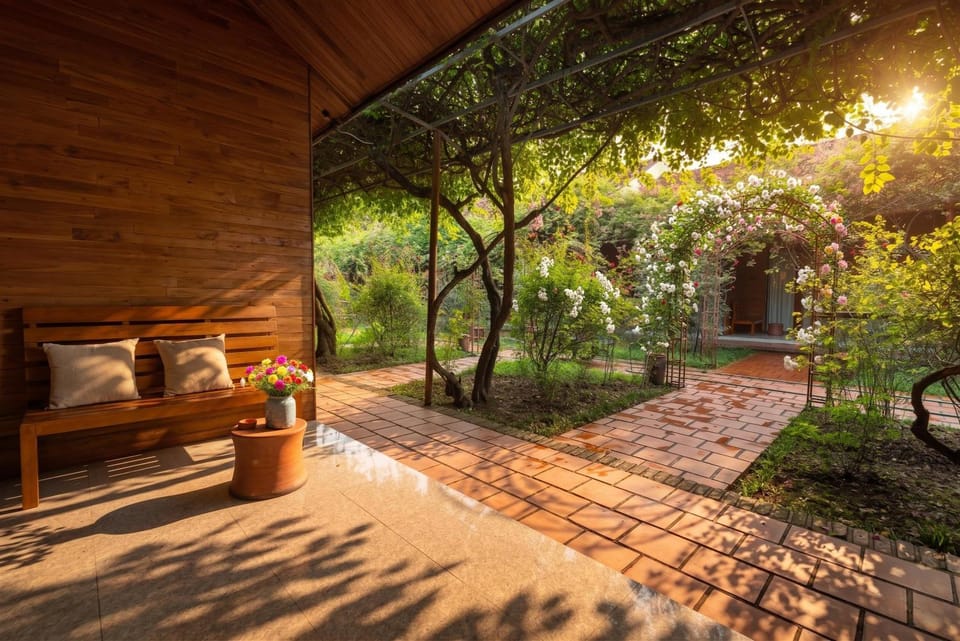 Patio, Day, Garden view