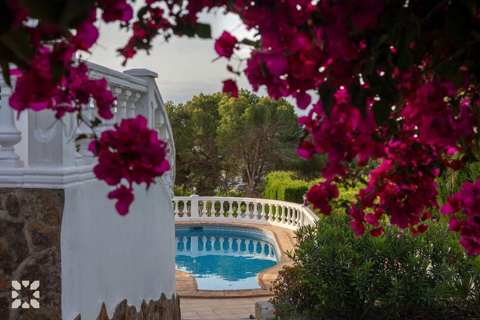Spring, Day, Natural landscape, Garden, Garden view, Pool view, Swimming pool