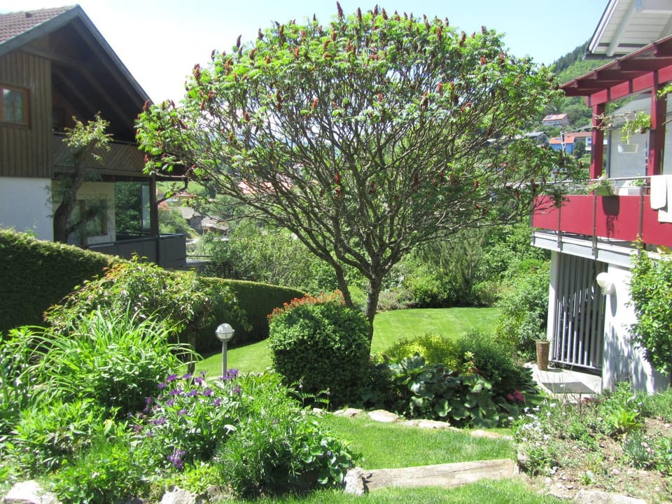 Natural landscape