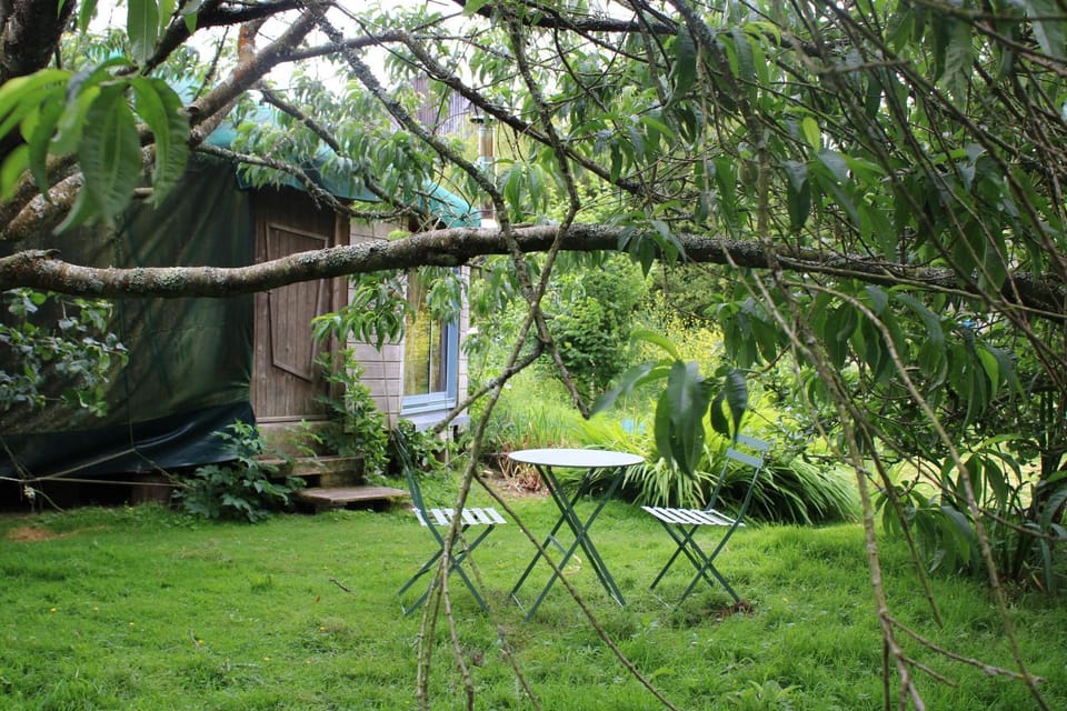 Spring, Garden, Garden view