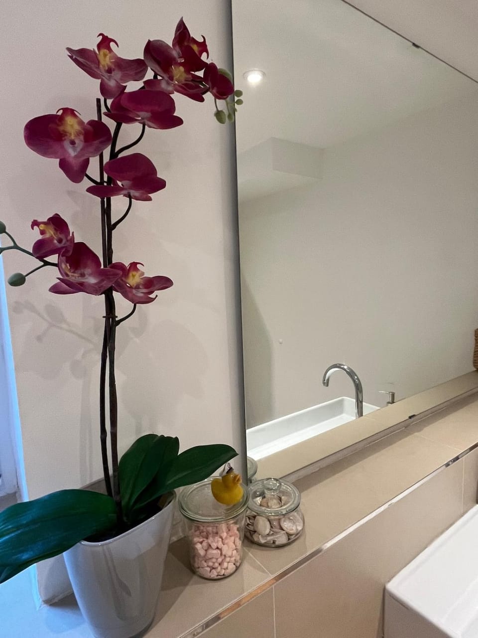 Ferienwohnung Adelenhof Apartment in North Rhine-Westphalia