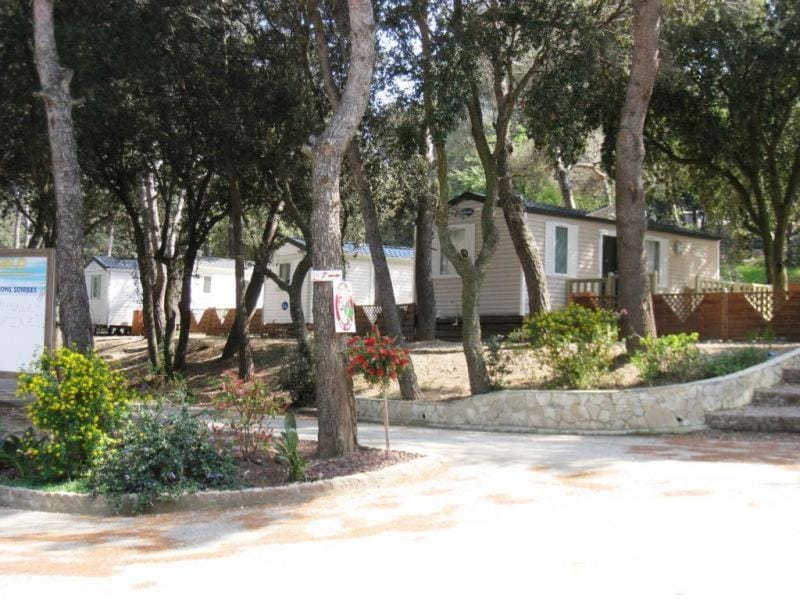 Camping Buffalo Hacienda Campground/ 
RV Resort in La Seyne-sur-Mer