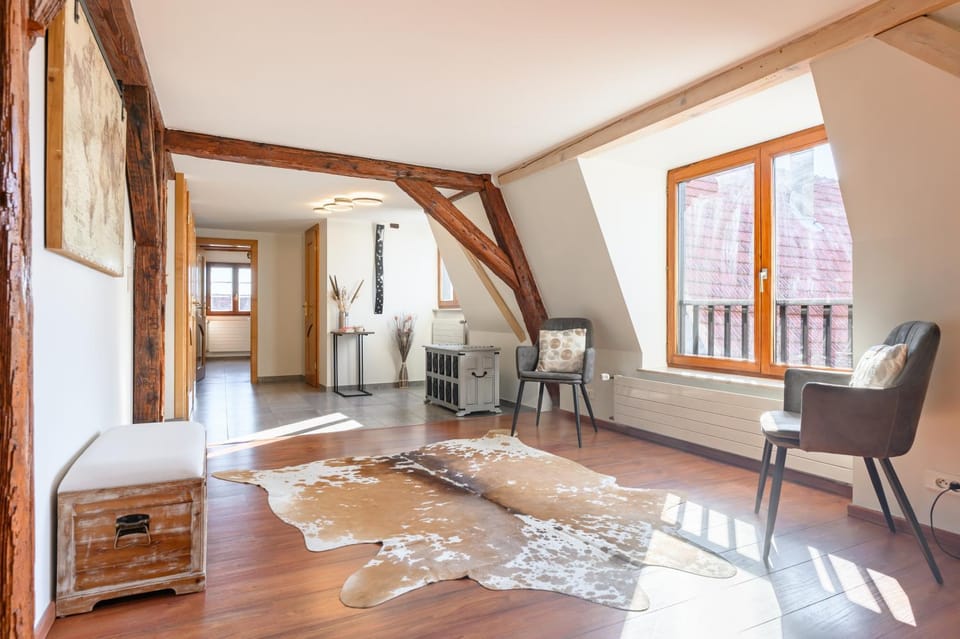 Appartement Villa Louisa Apartment in Colmar