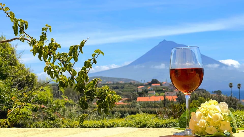 Mountain view, Drinks, Alcoholic drinks